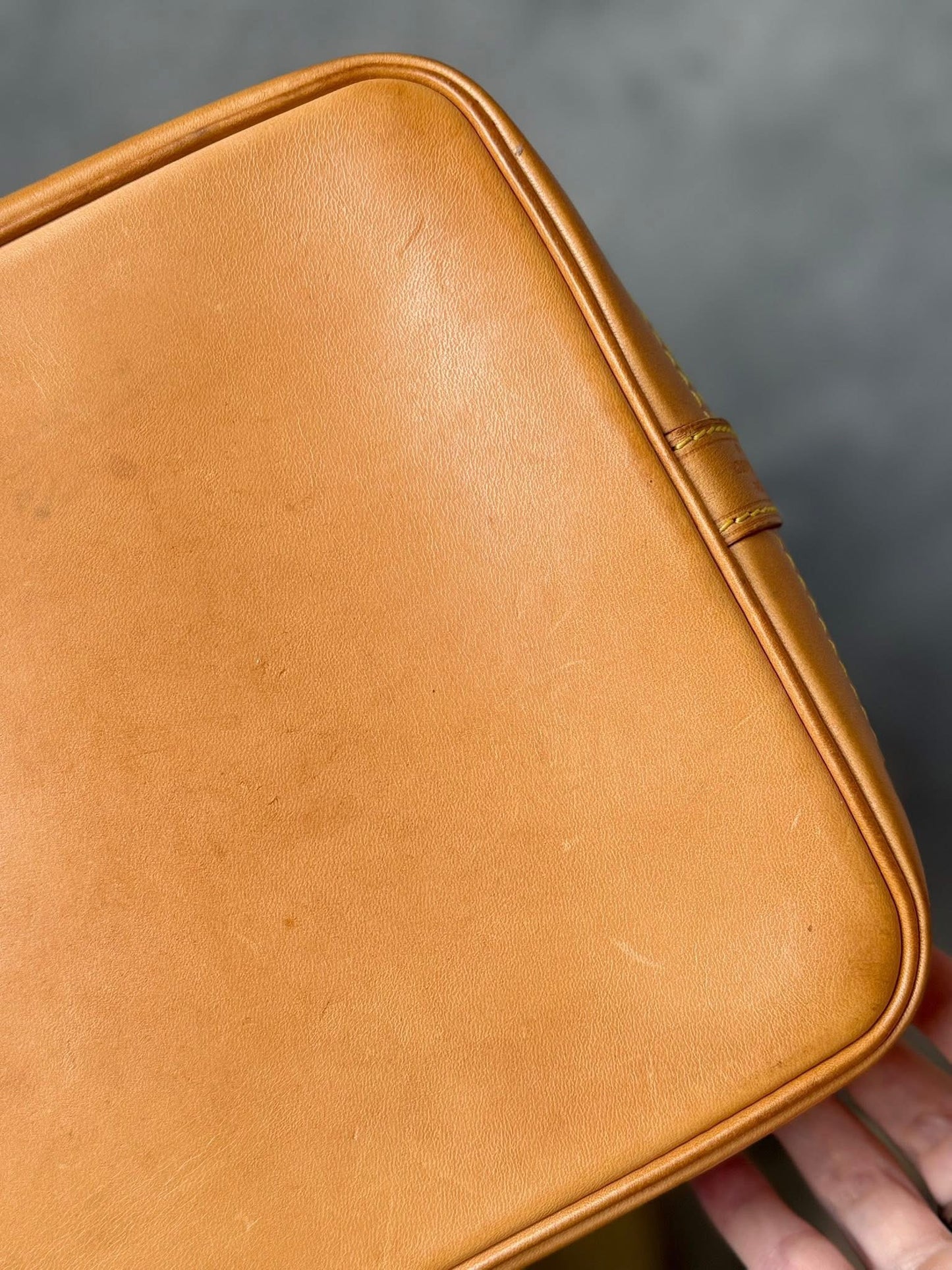 LV Noe GM Monogram