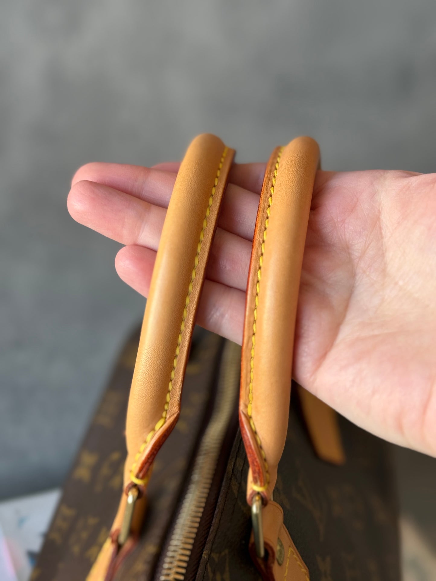 LV Speedy 25 Monogram