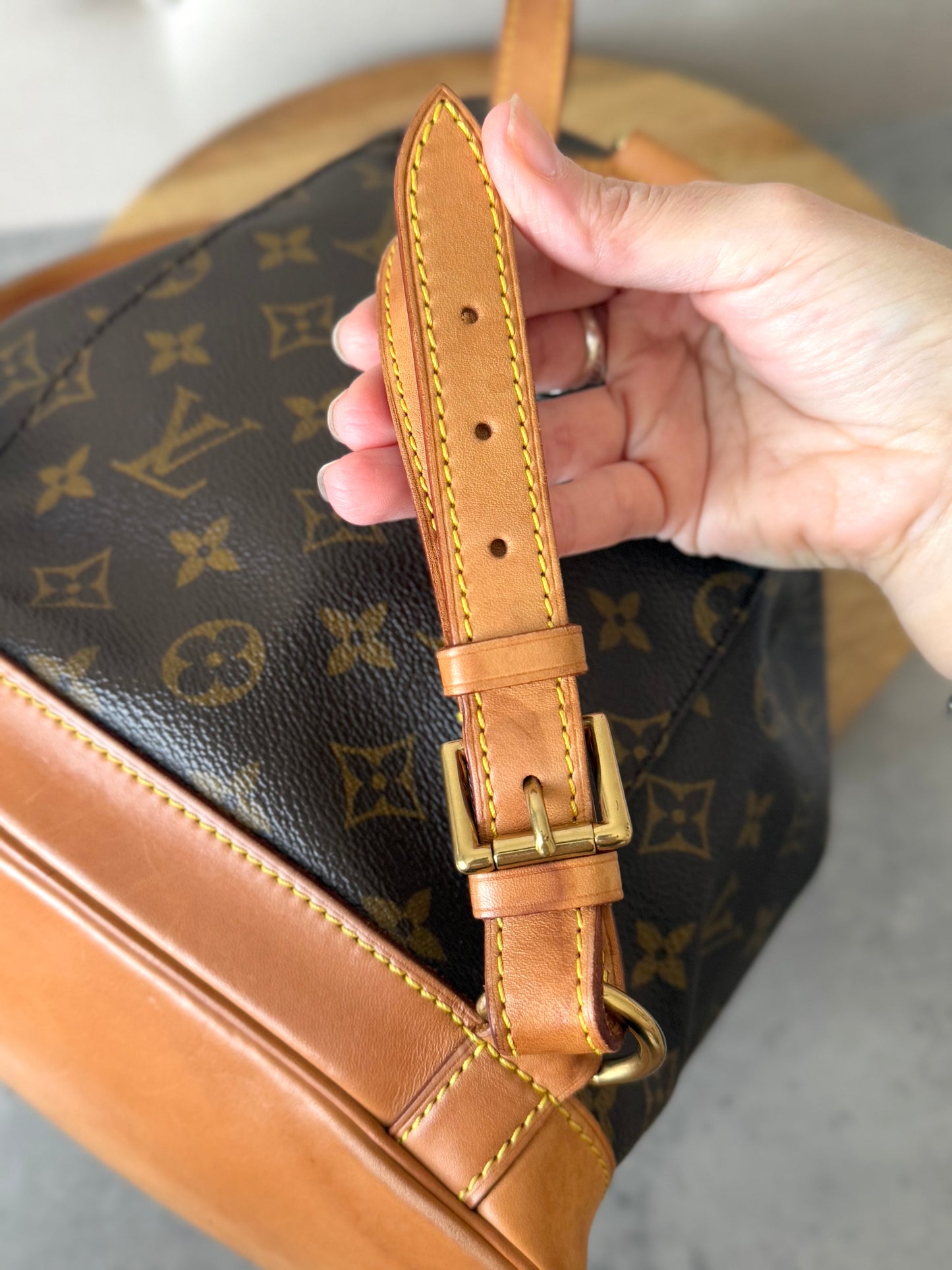 LV Montsouris MM Backpack