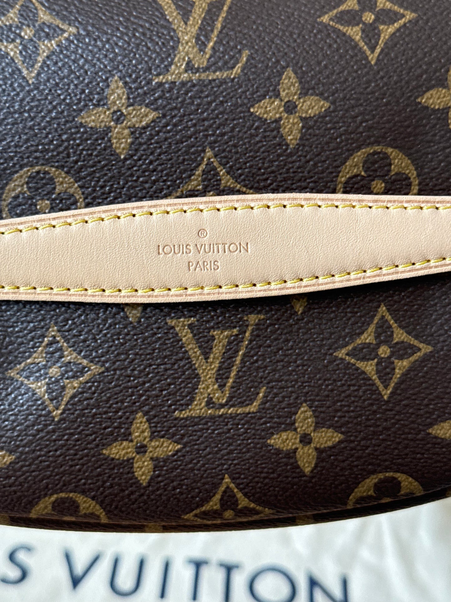 LV Bumbag MM Monogram