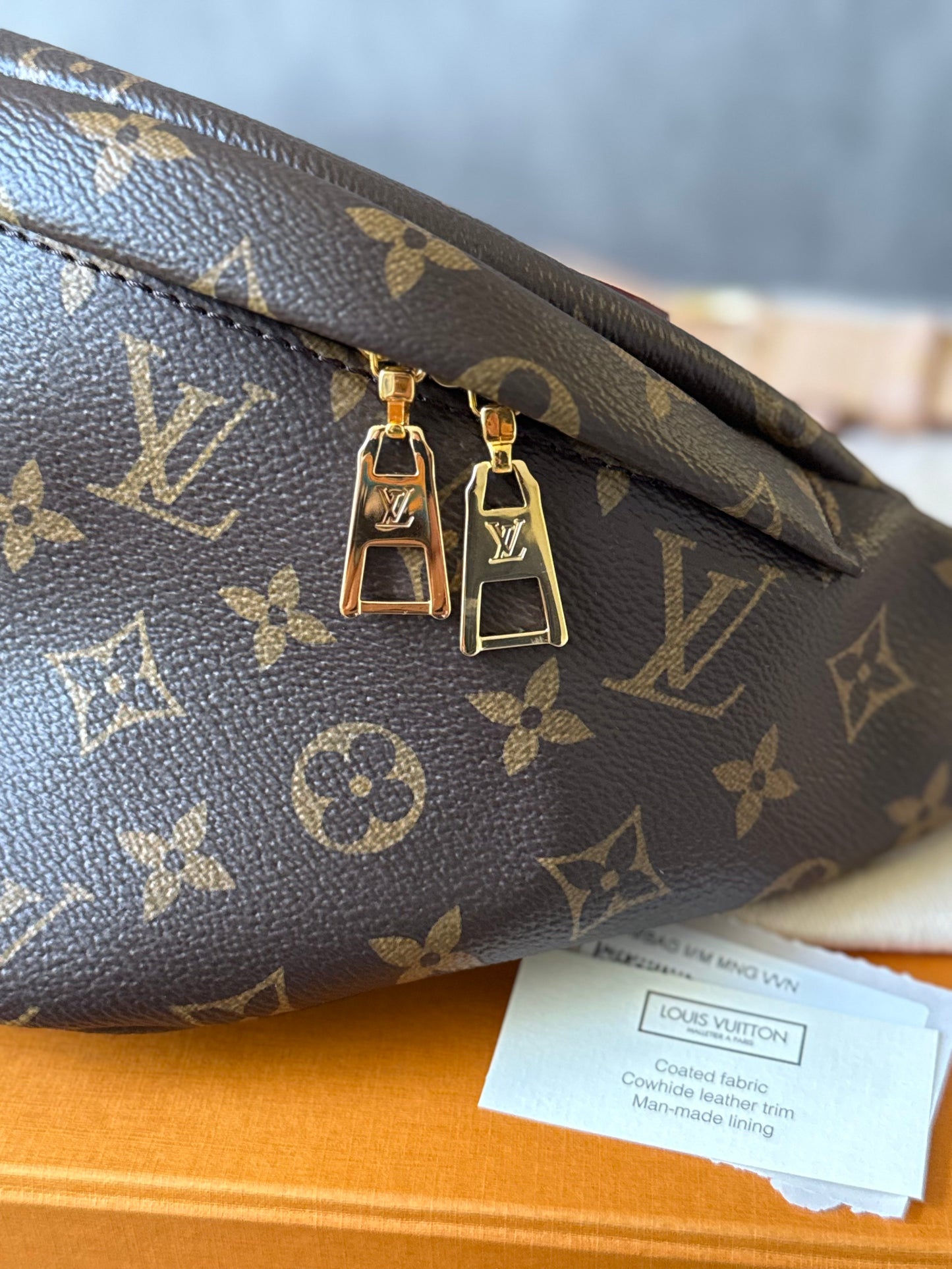 LV Bumbag MM Monogram