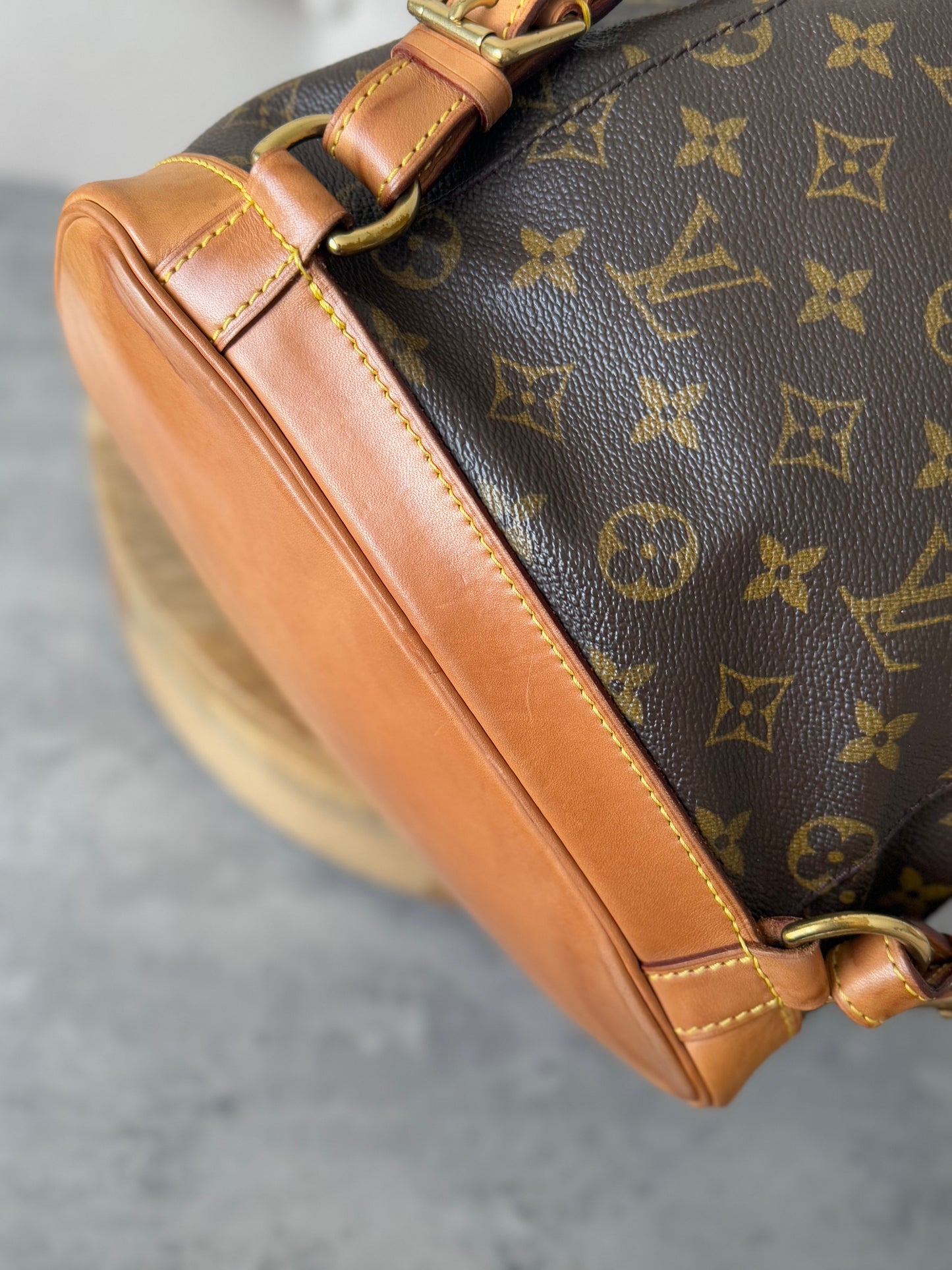 LV Montsouris MM Backpack