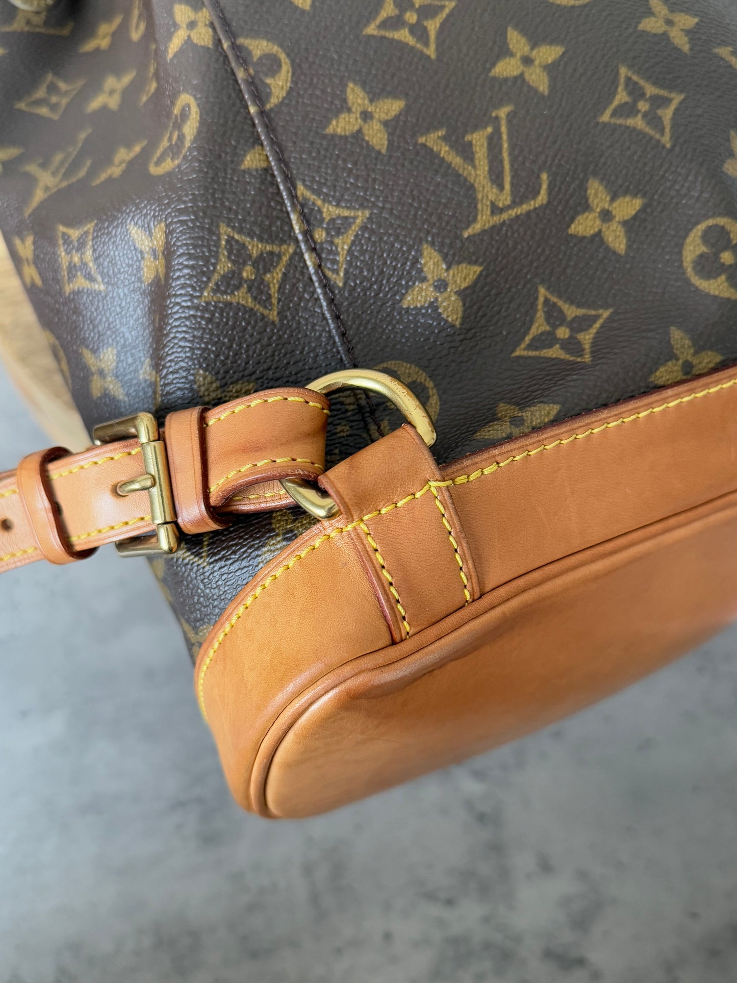 LV Montsouris MM Backpack