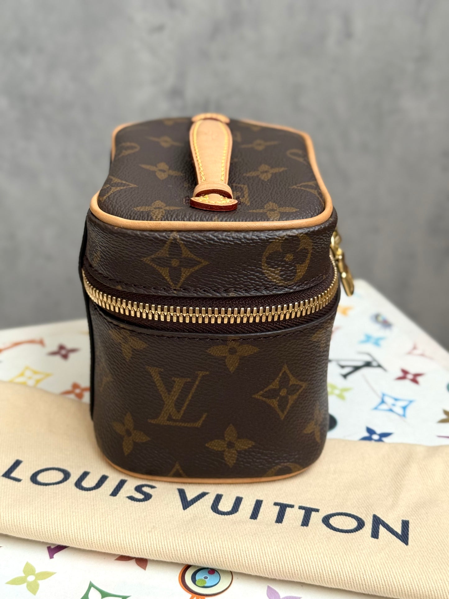 LV Nice Nano Case