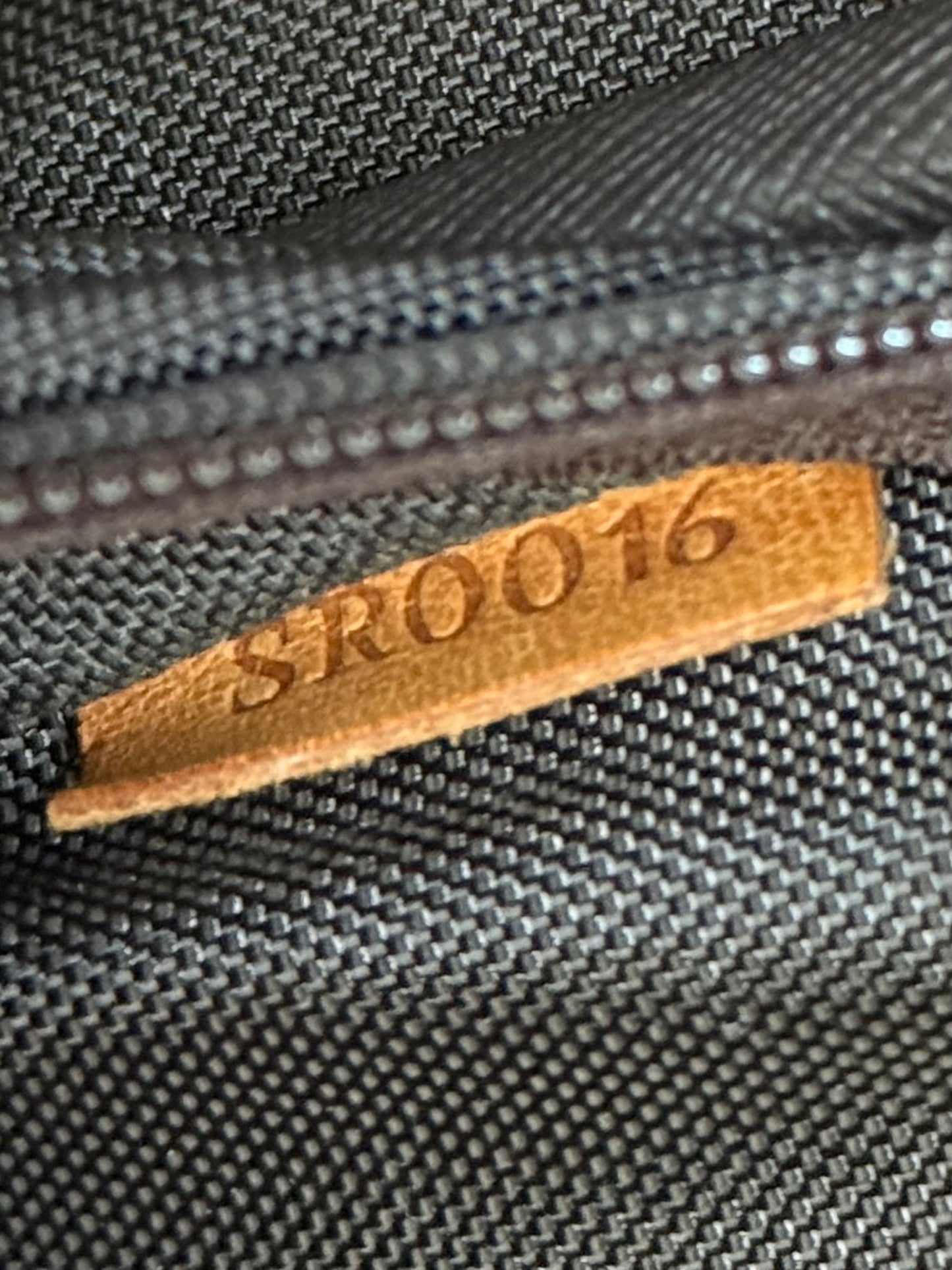 LV Pegase 55 Rolling Luggage