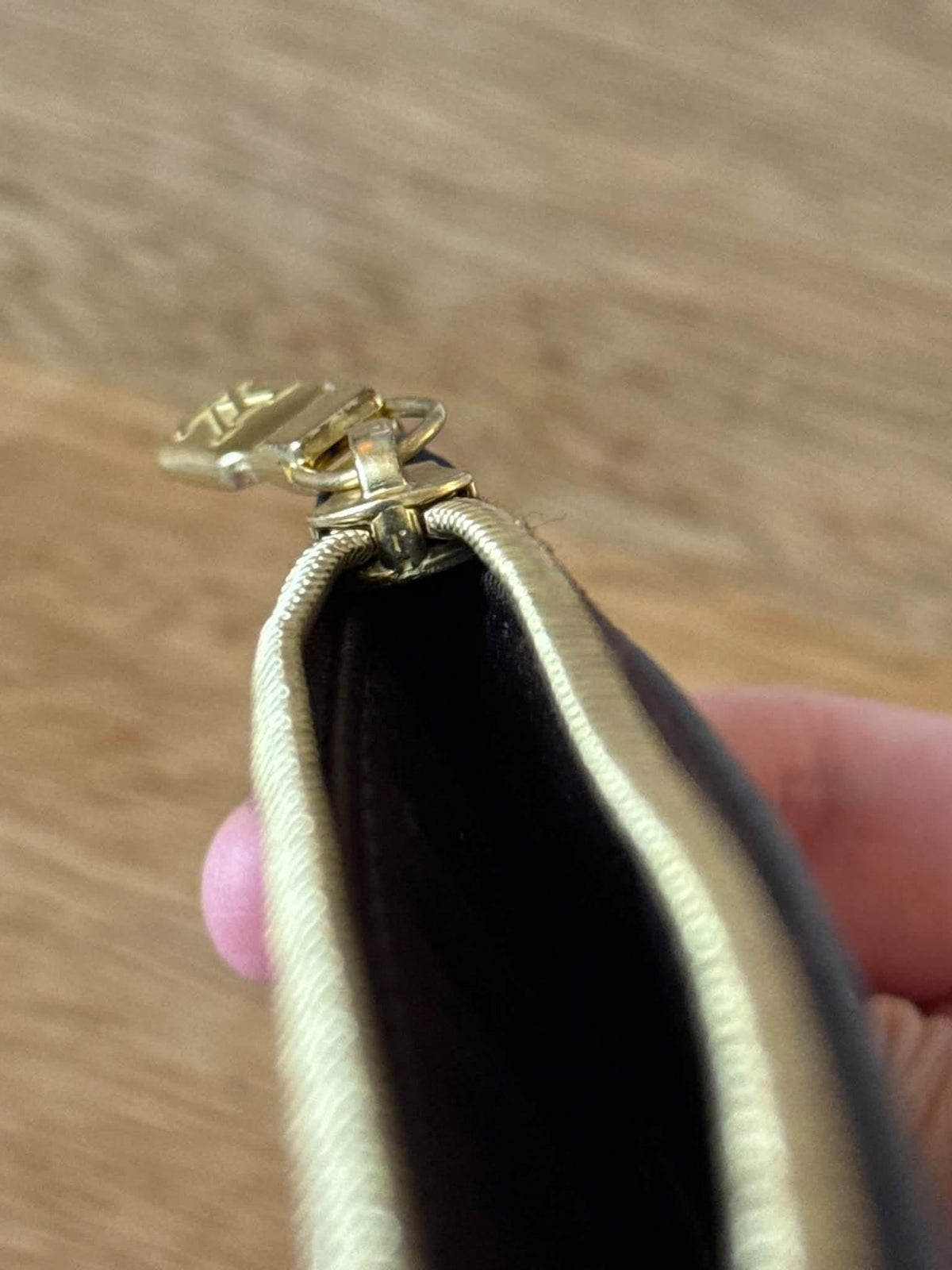LV Loop Hobo GM Pouch