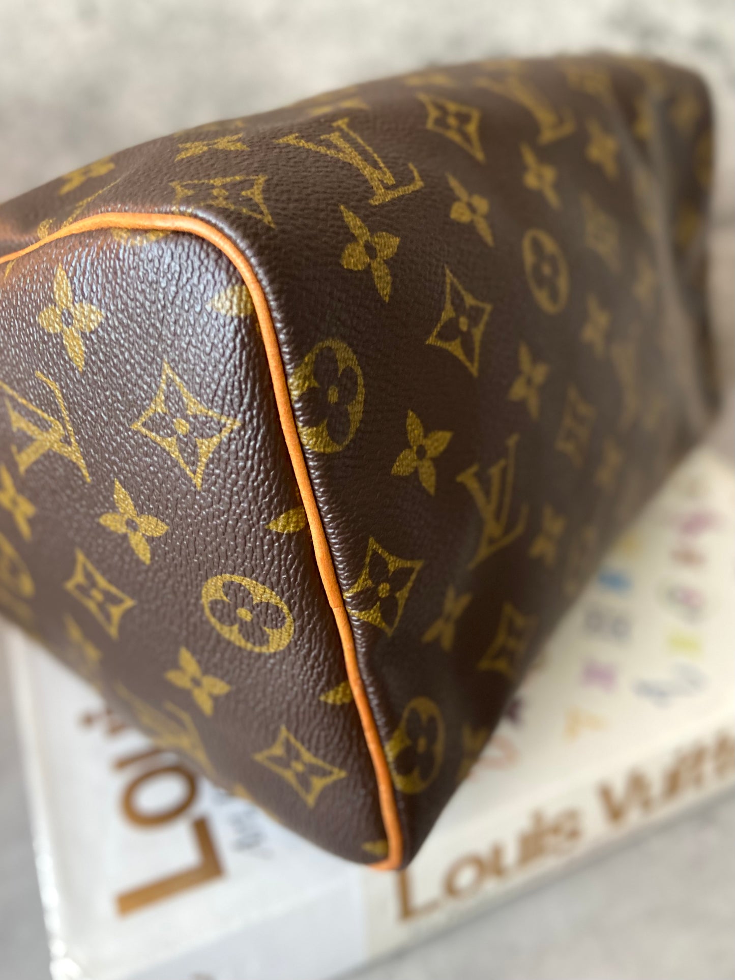 LV Speedy 25 Monogram