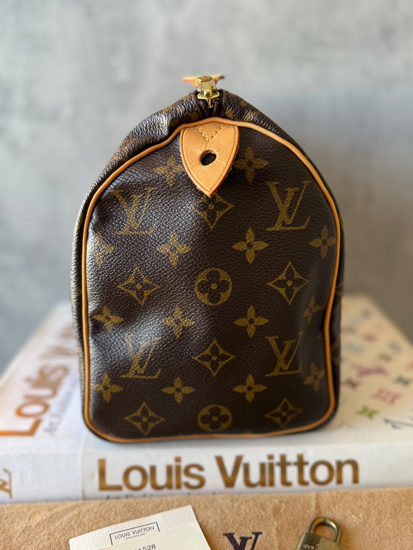 LV Speedy 25 Monogram