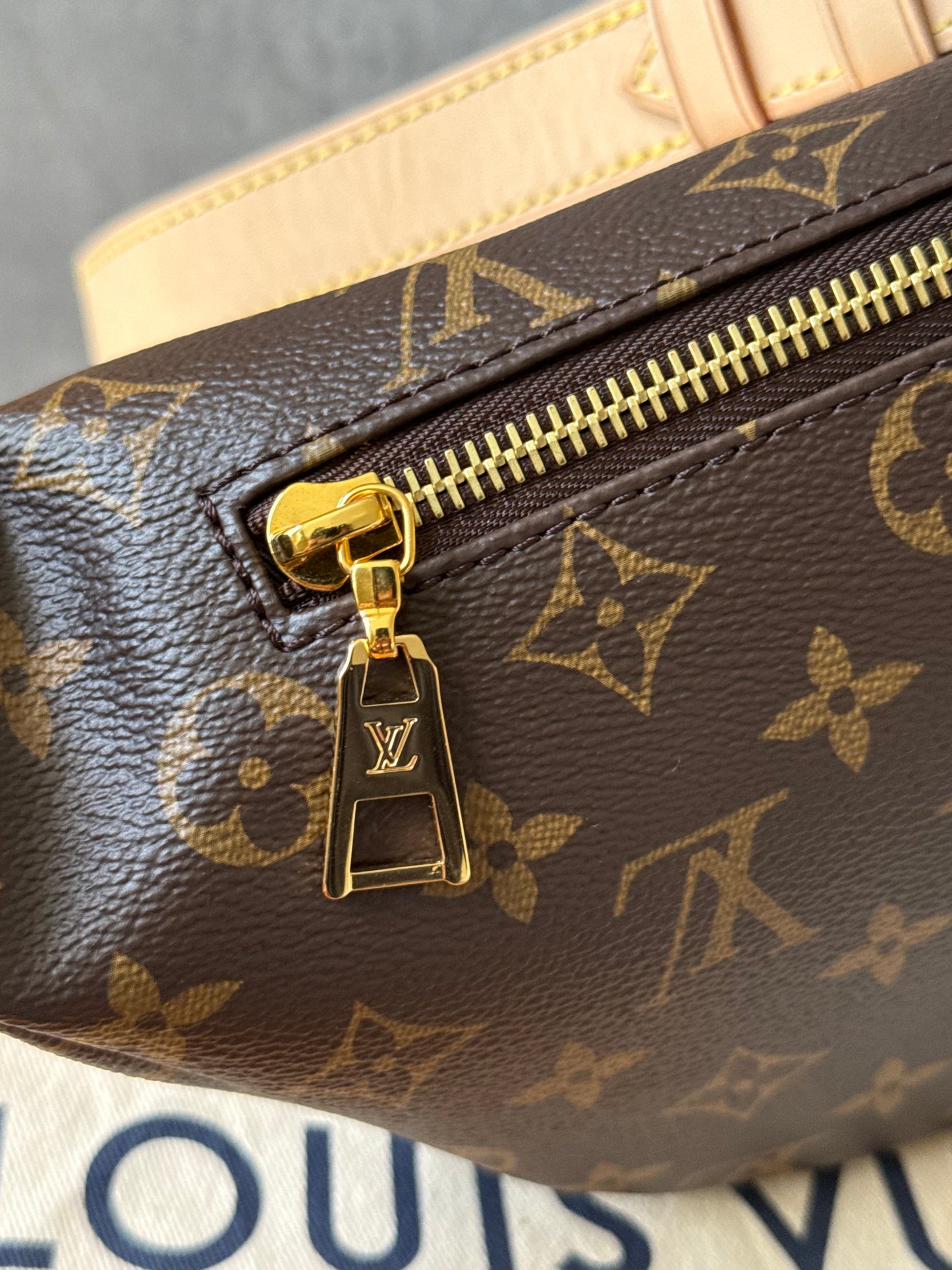 LV Bumbag MM Monogram