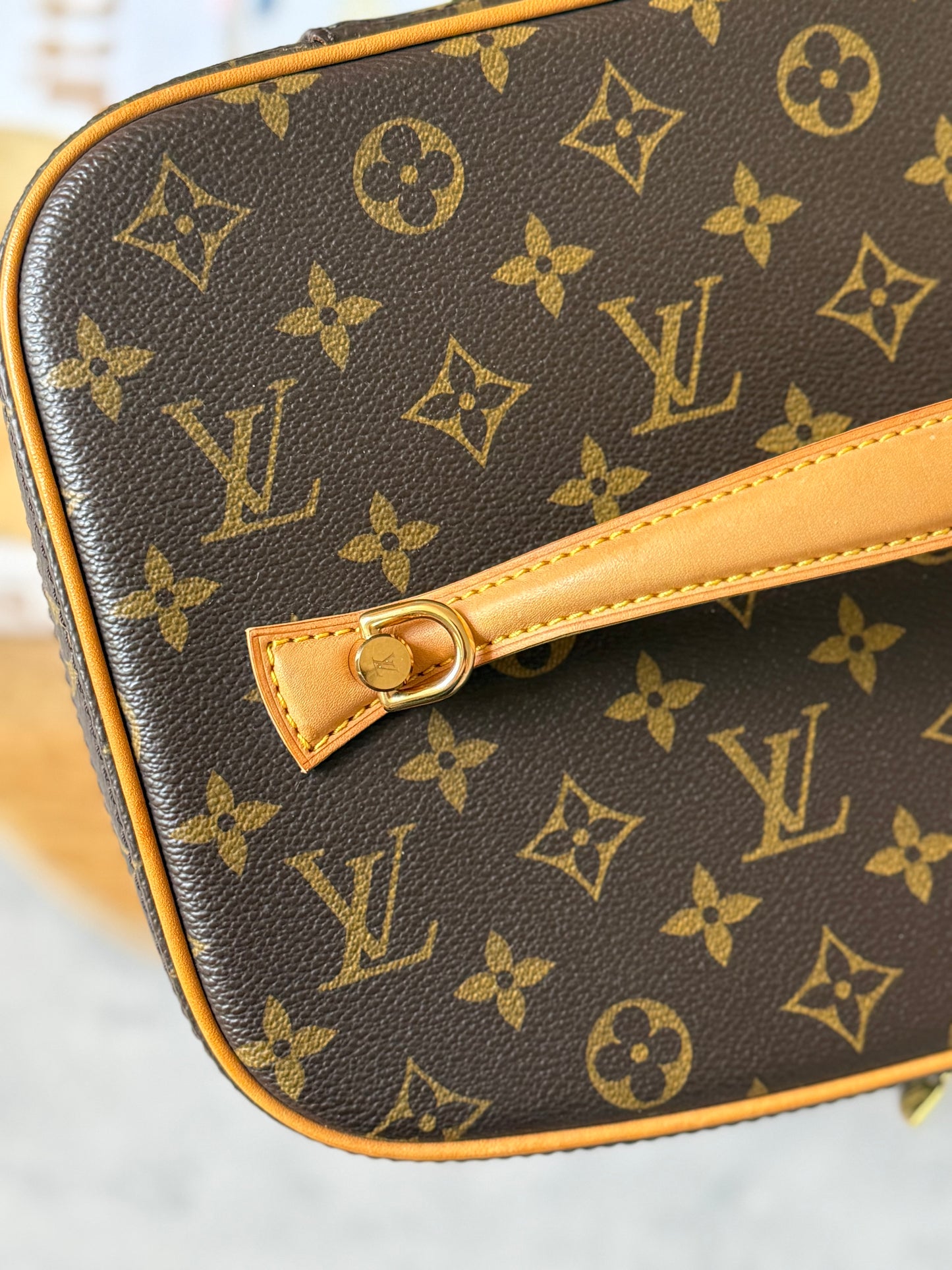 LV Nice Vanity Train Case