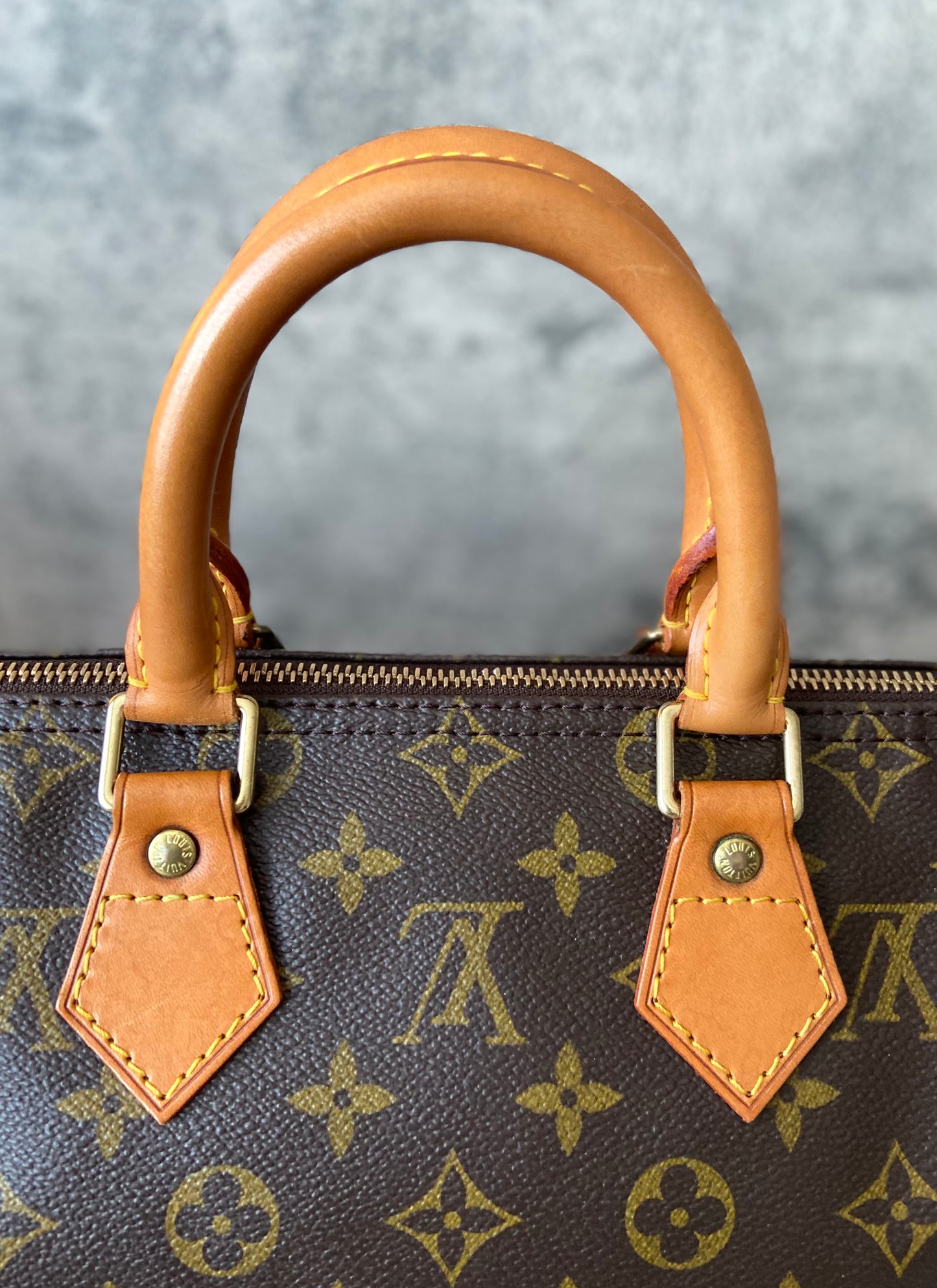 LV Speedy 25 Monogram