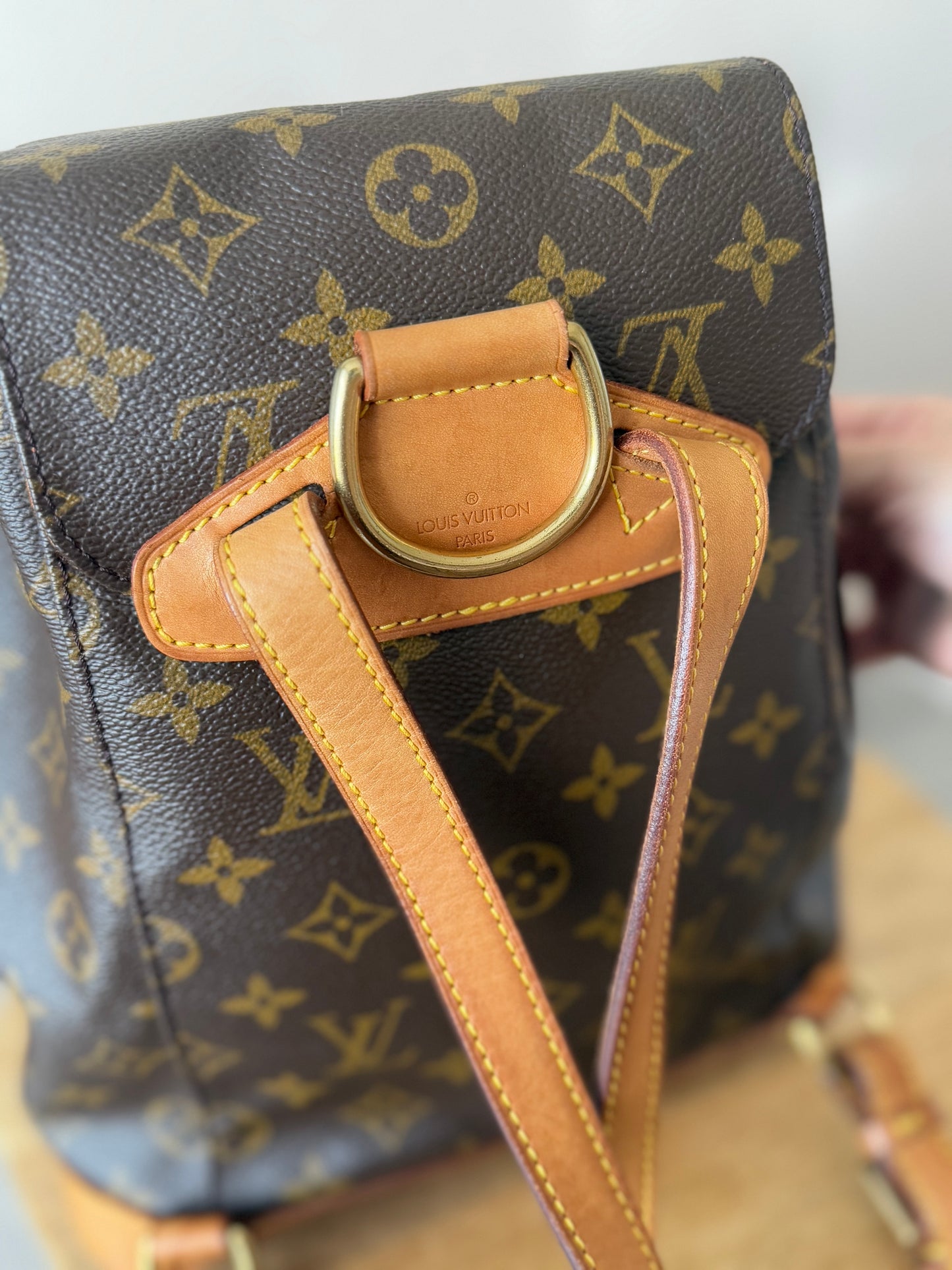 LV Montsouris MM Backpack