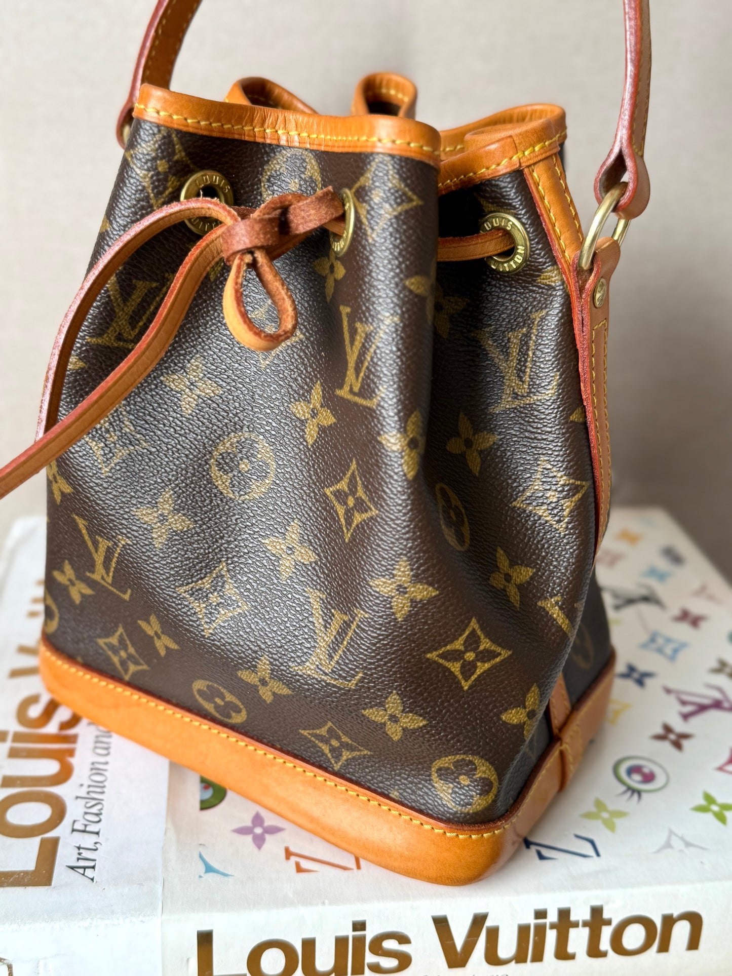 LV Mini Noe