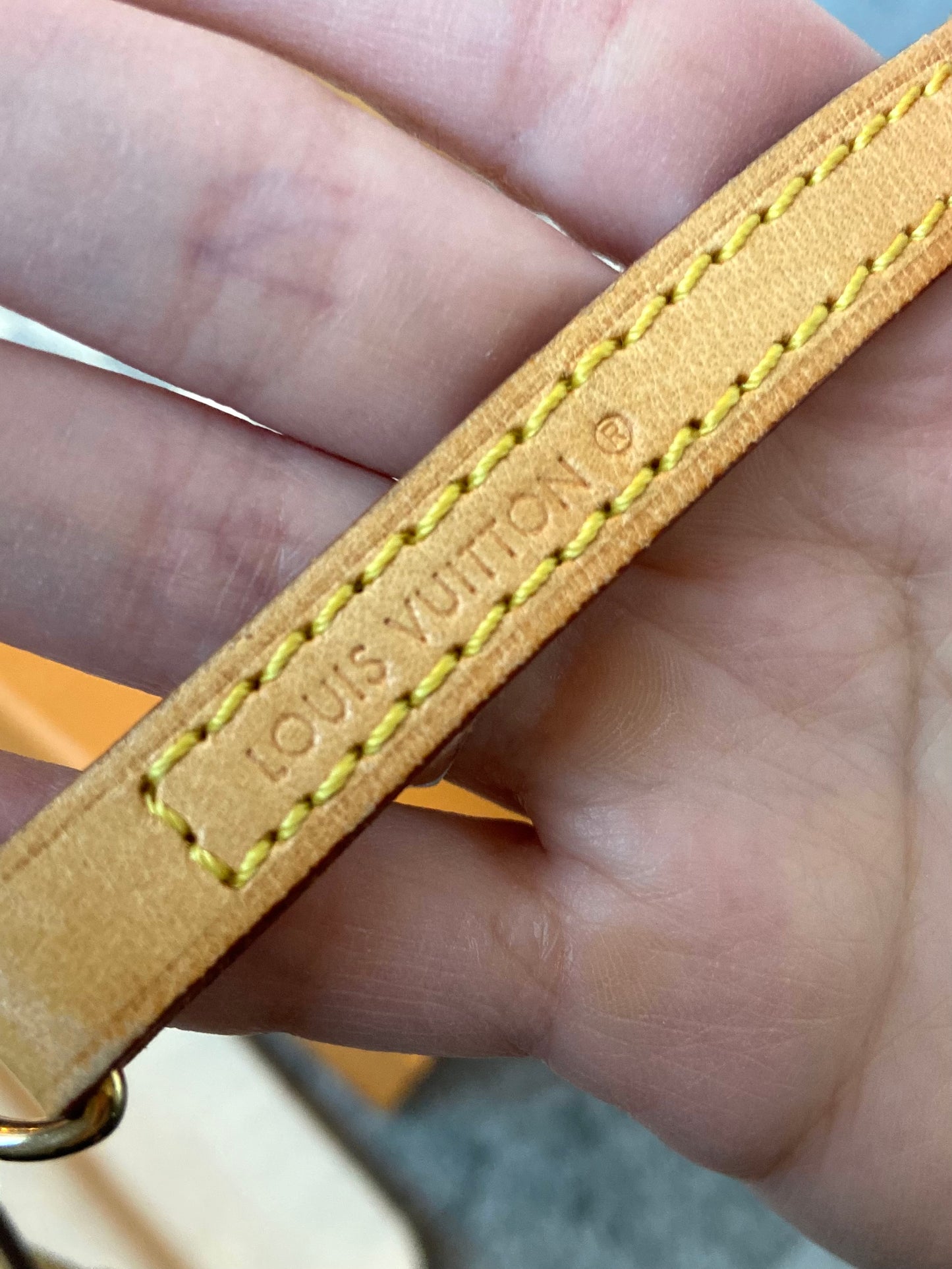 LV Eva Azur Crossbody