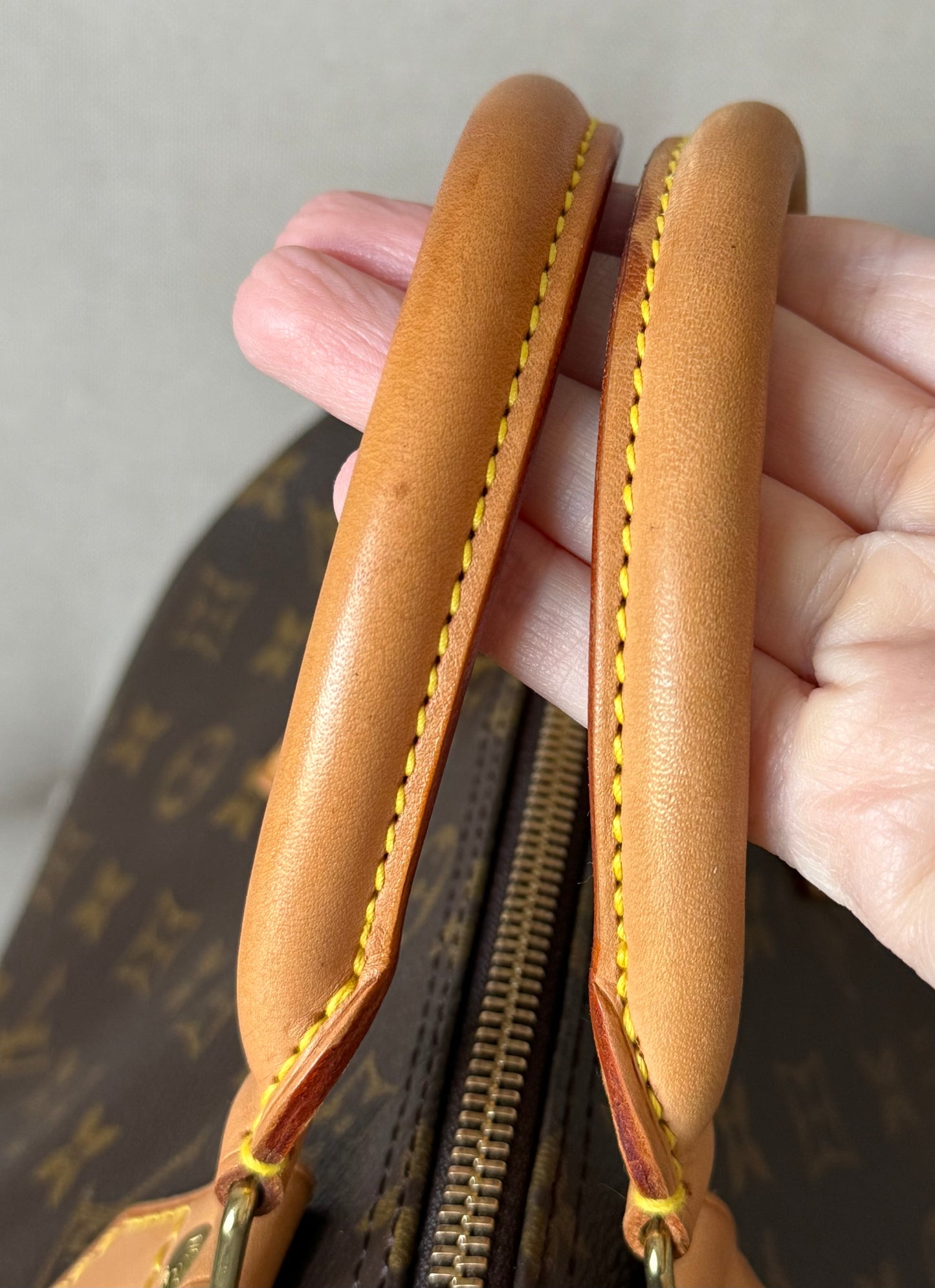 LV Speedy 30 Monogram