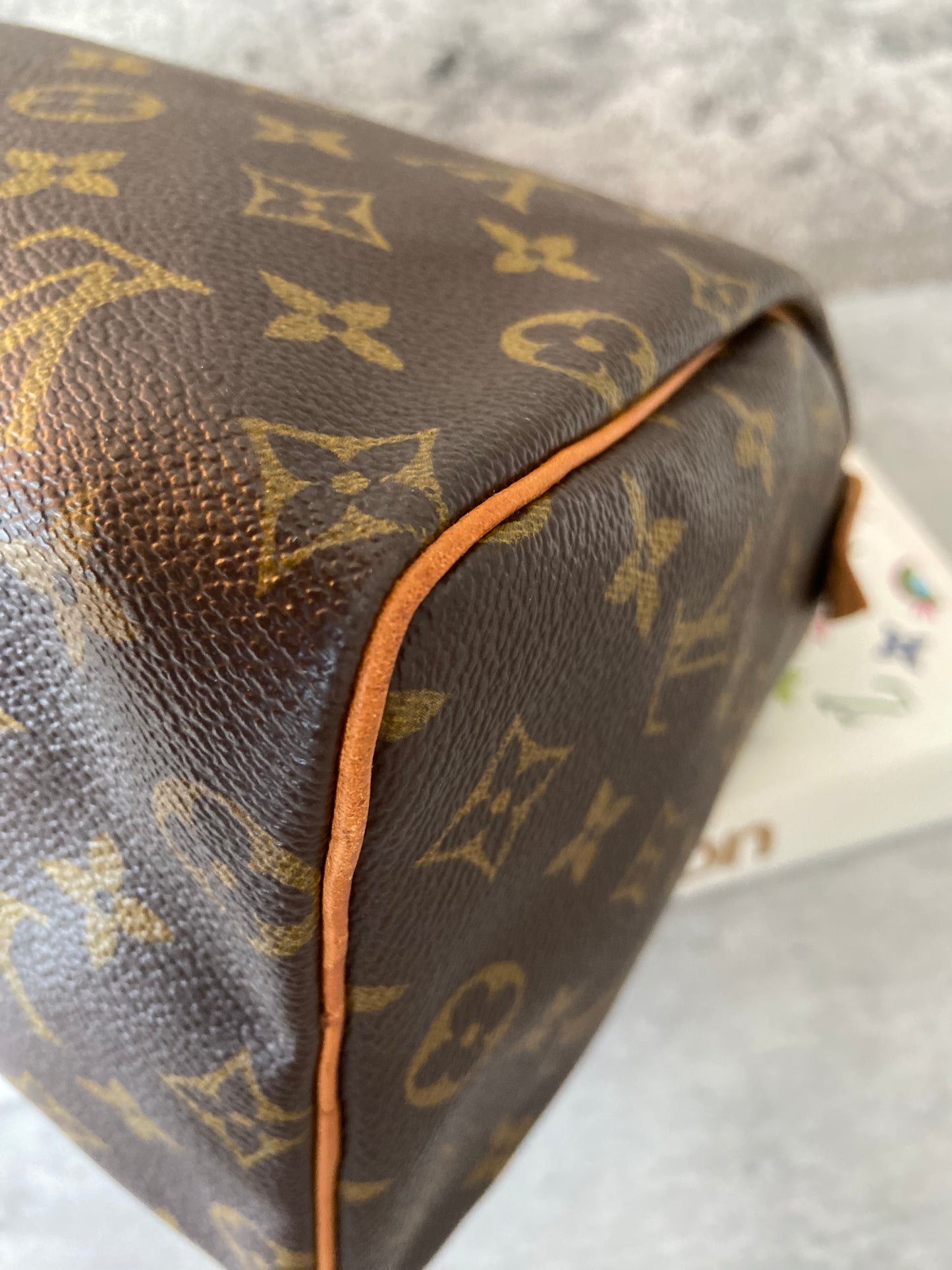 LV Speedy 25 Monogram