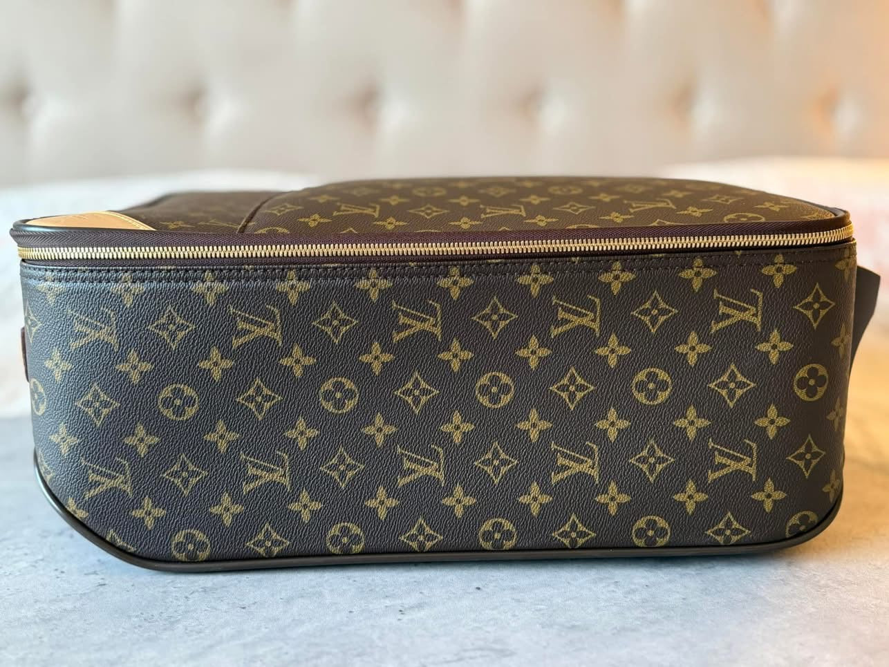 LV Pegase 45 Rolling Luggage