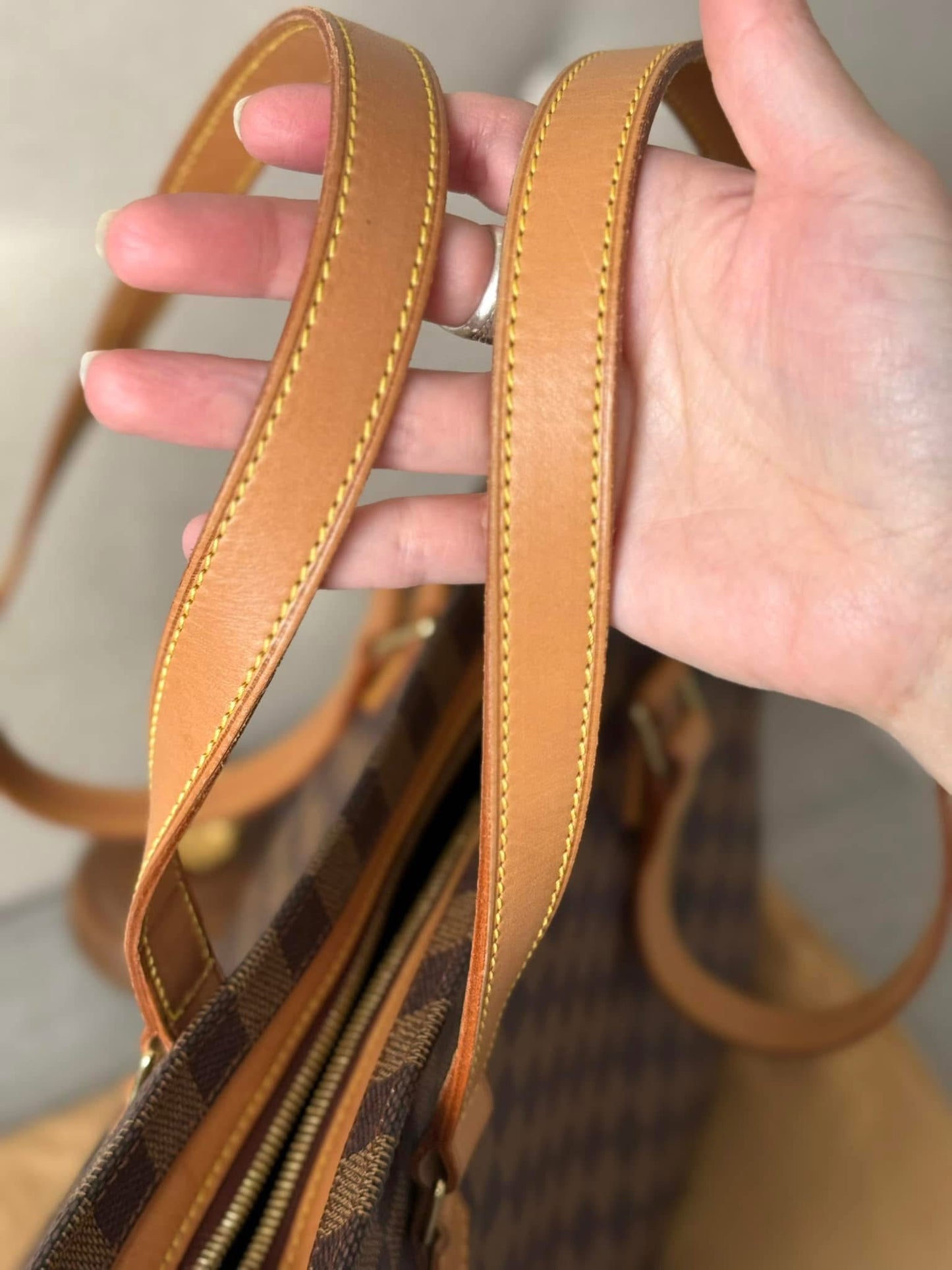 LV Centenaire Columbine Bag