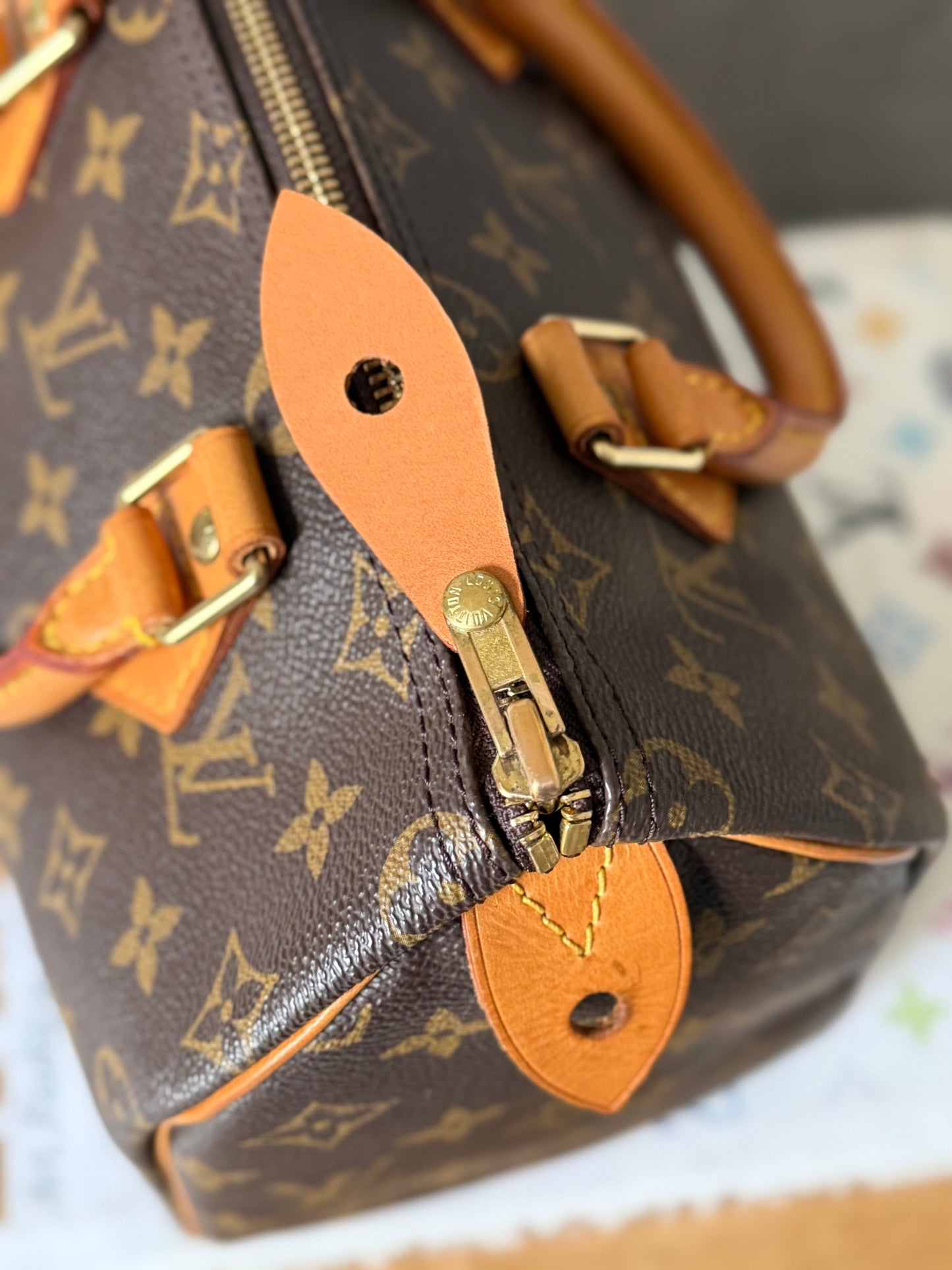 Louis Vuitton Speedy 25 Monogram