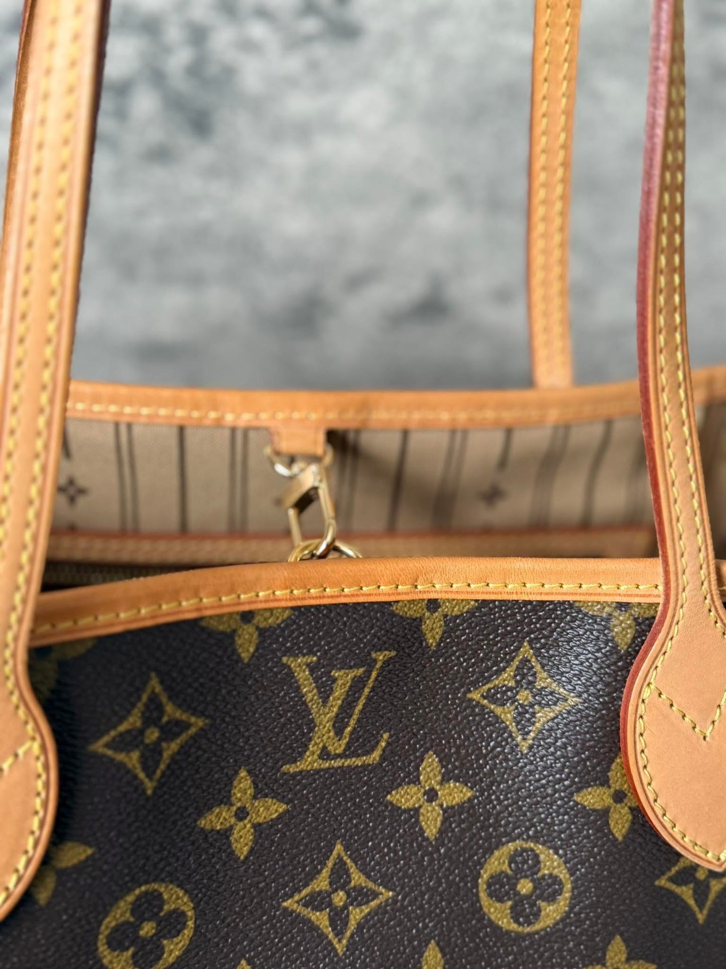LV Neverfull PM Monigram