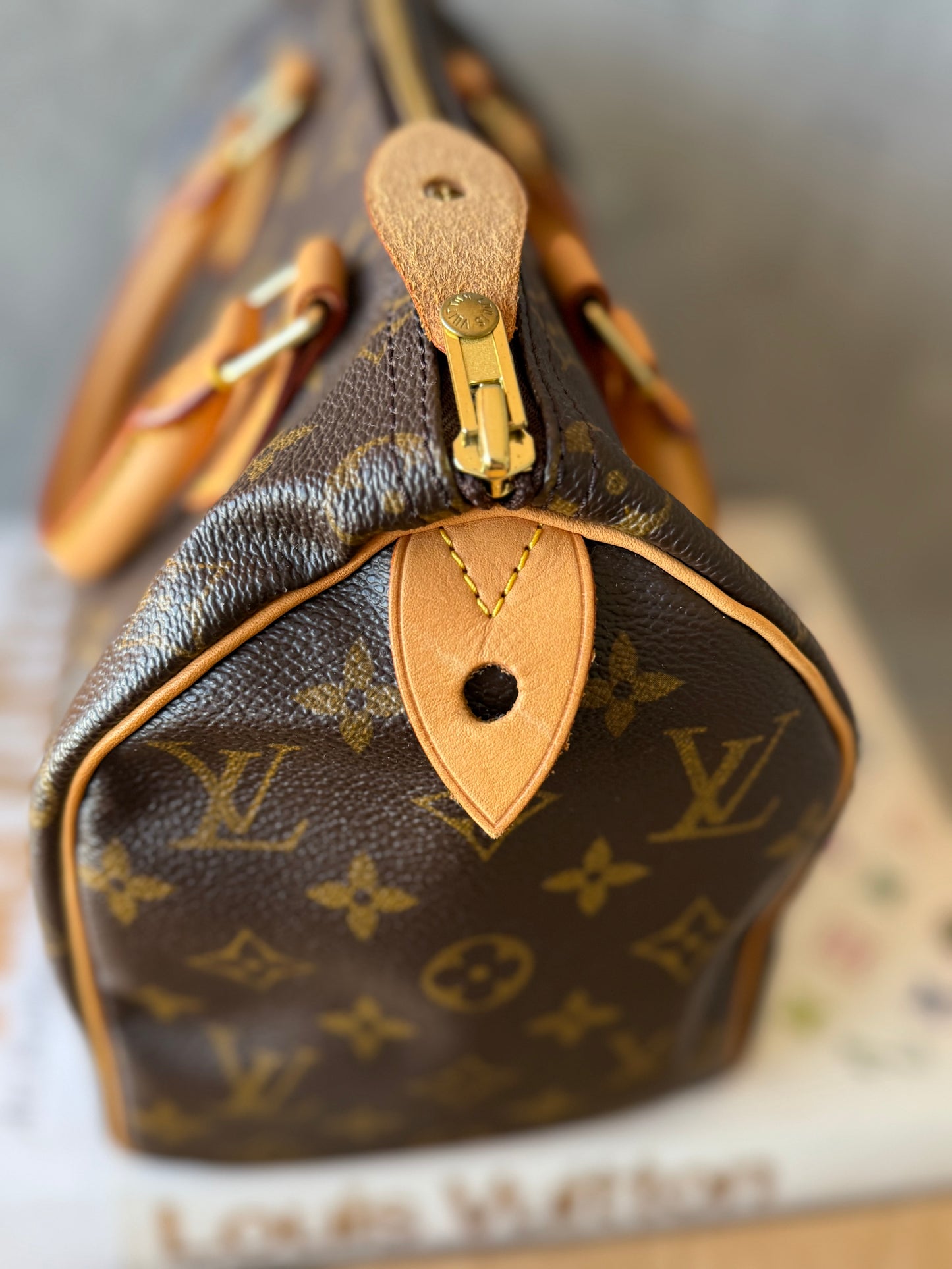 LV Speedy 25 Monogram