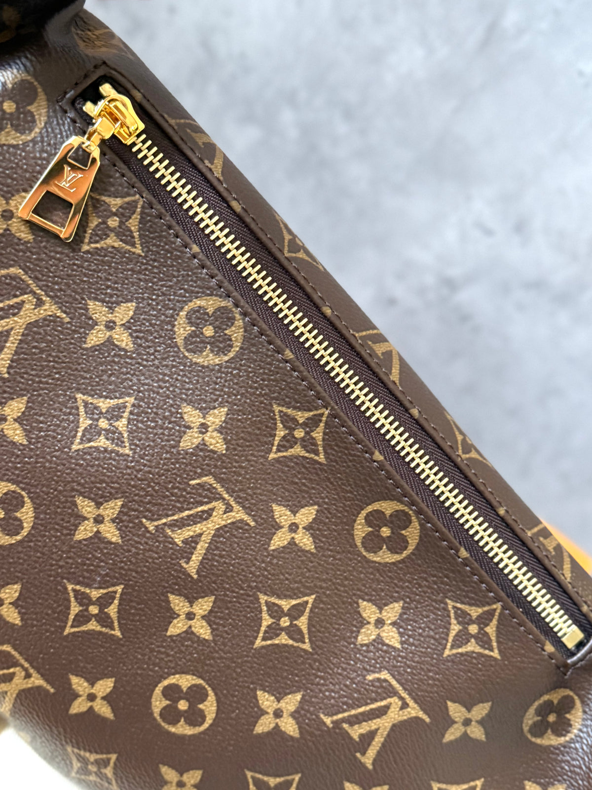 LV Bumbag MM monogram