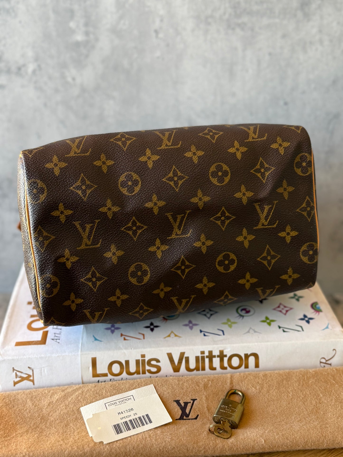 LV Speedy 25 Monogram