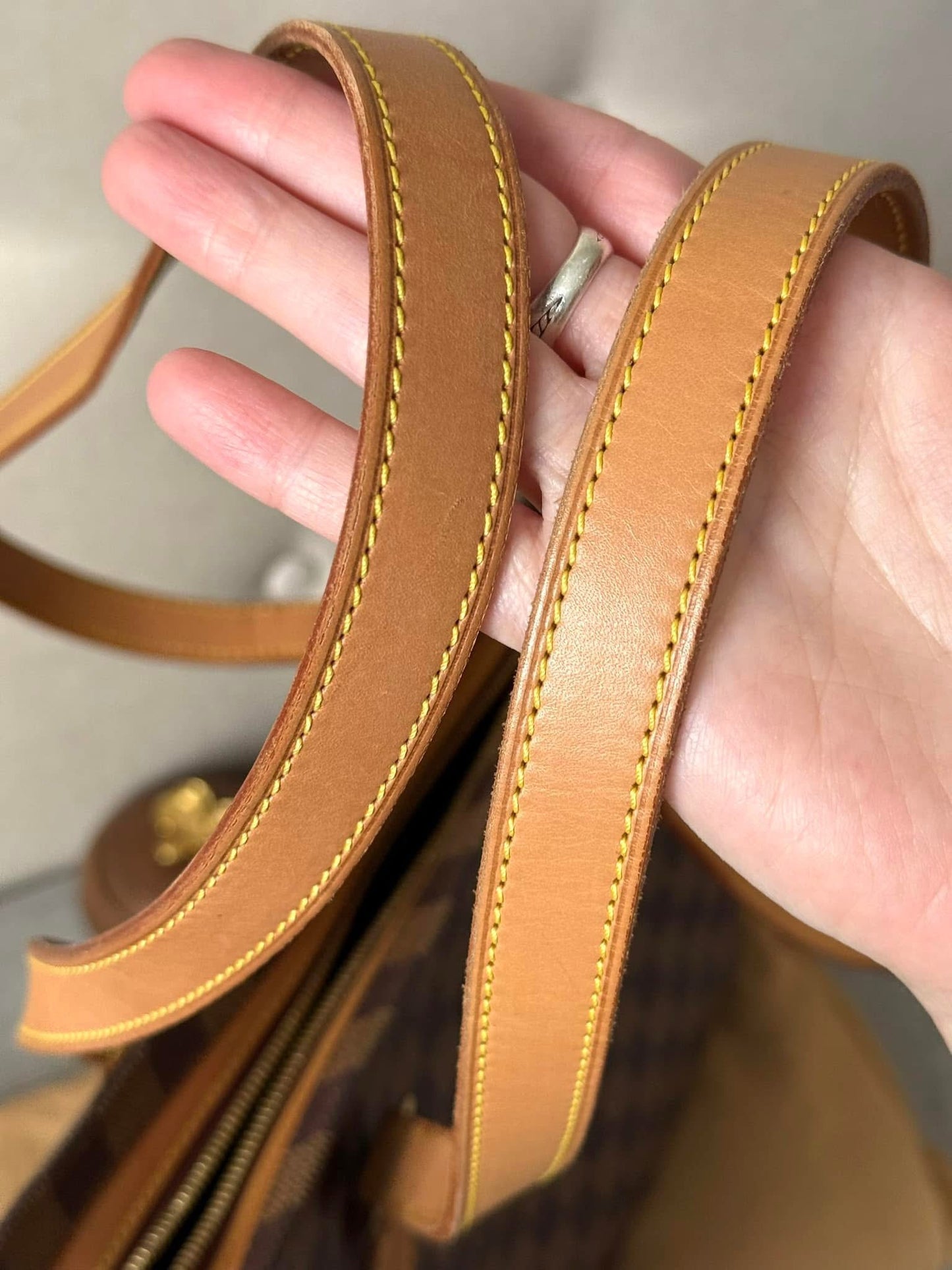 LV Centenaire Columbine Bag