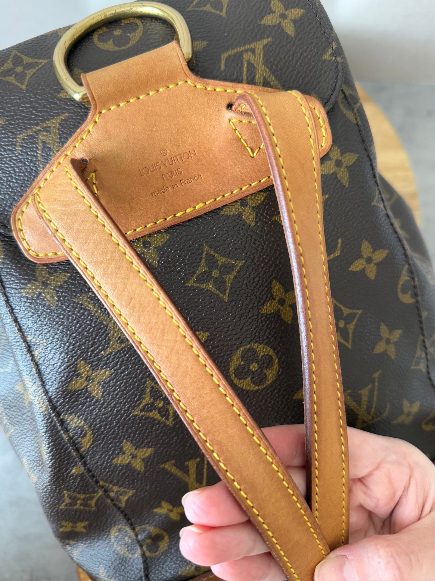 LV Montsouris MM Backpack