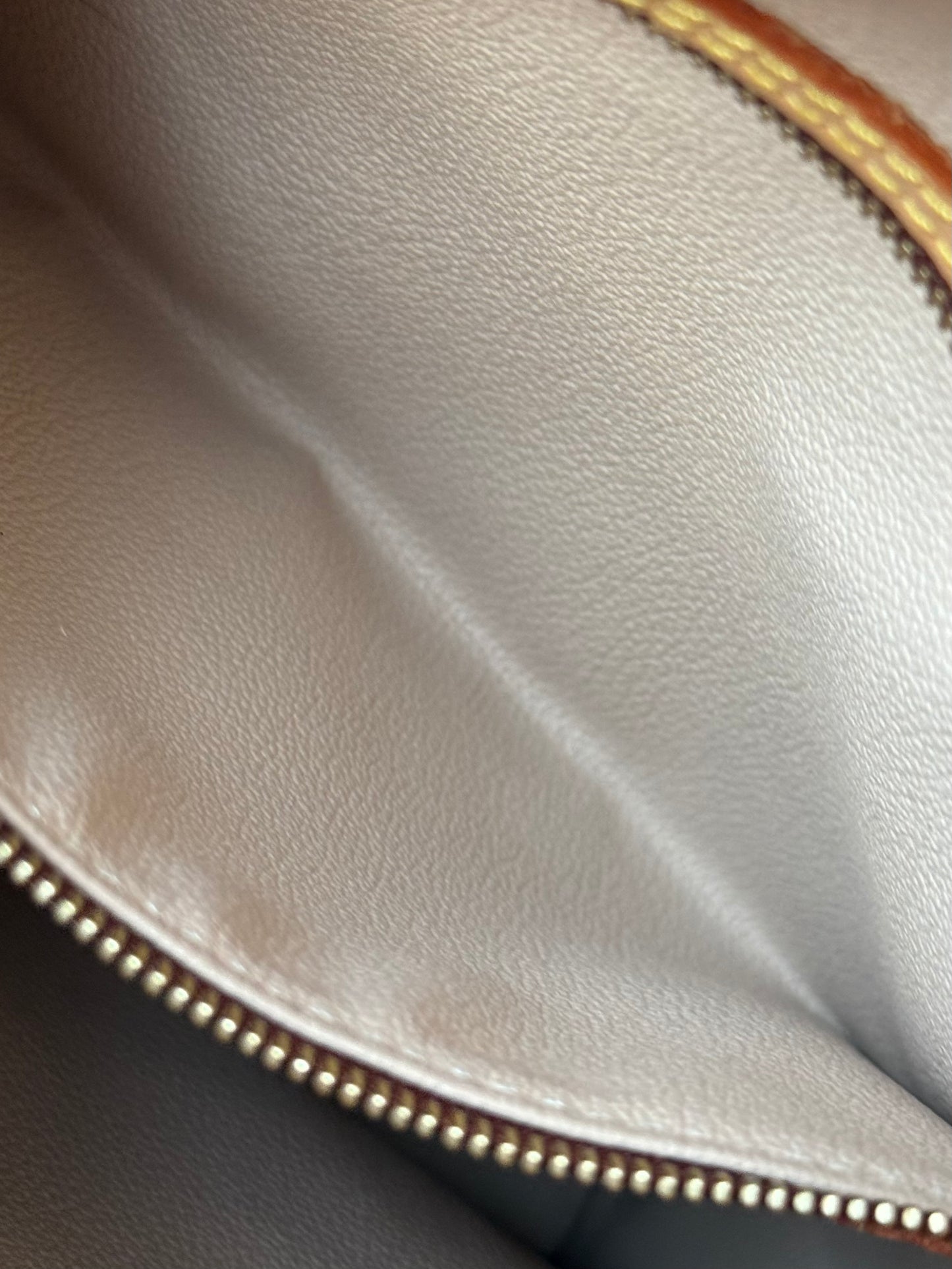 LV Bucket PM Monogram