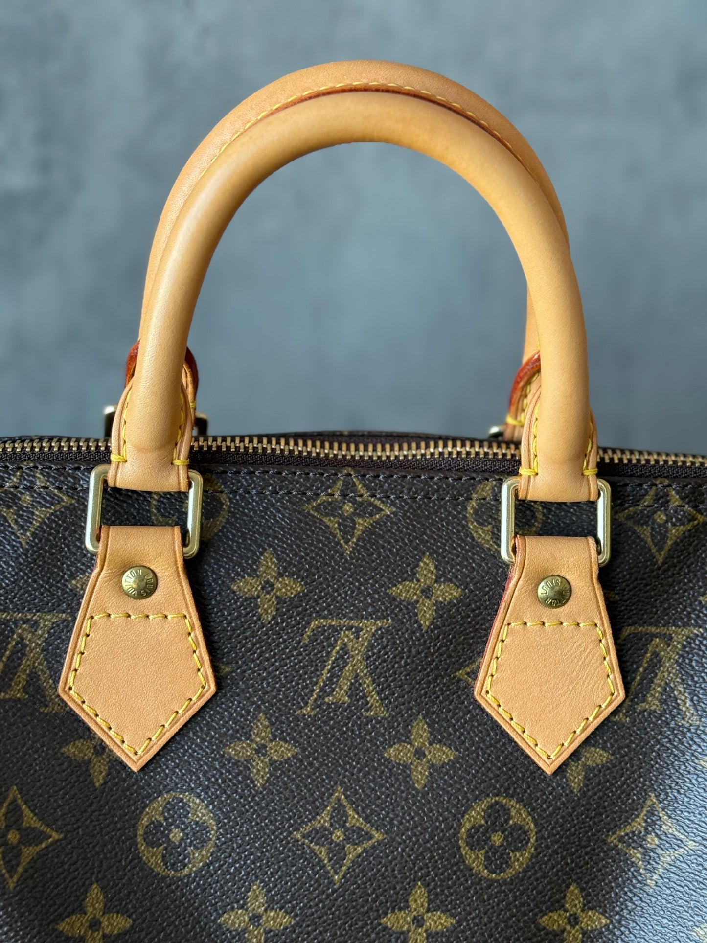 LV Speedy 25 Monogram