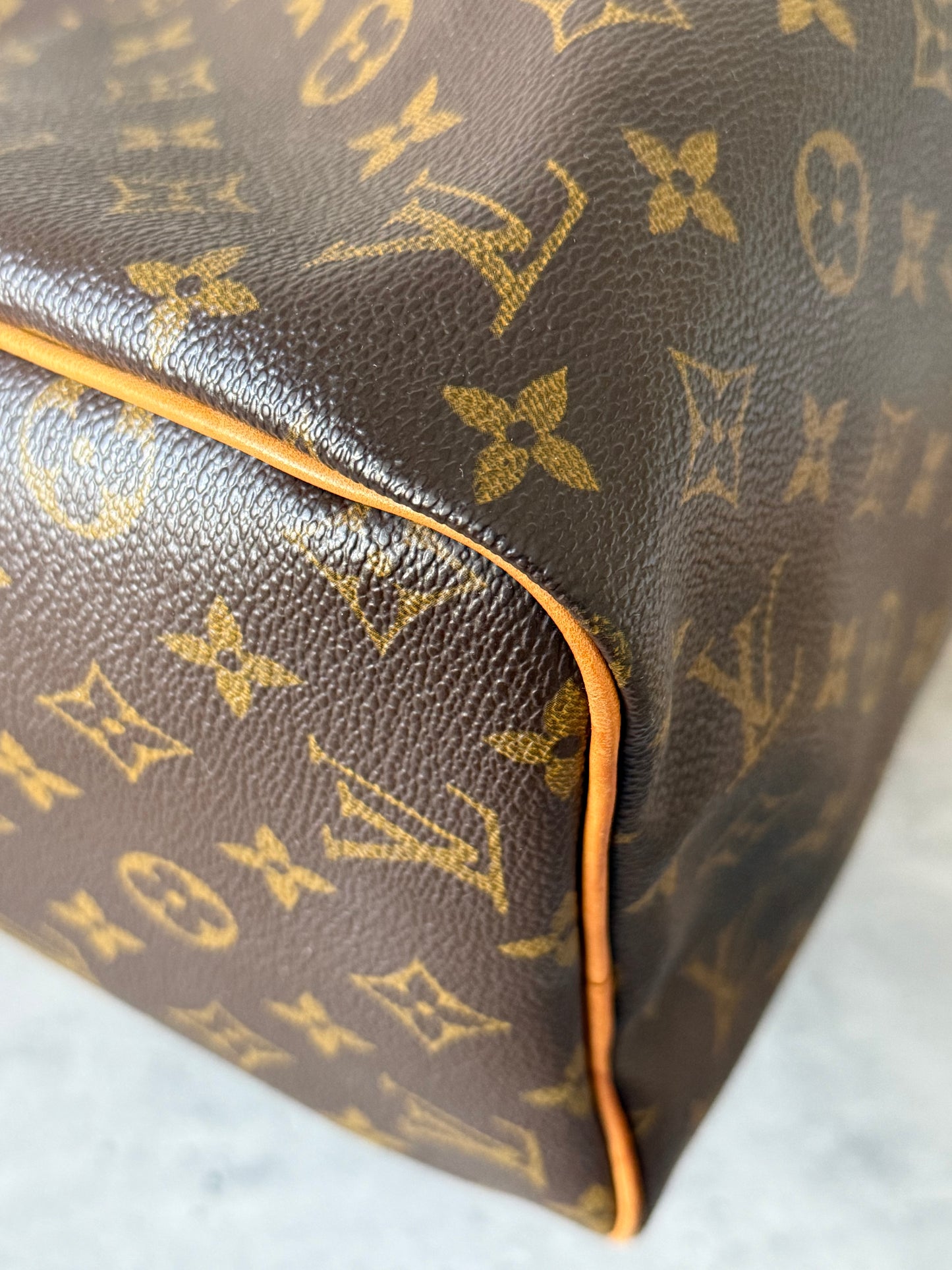 LV Speedy 30 Monogram